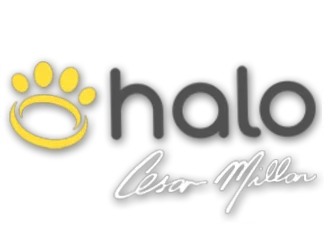 Halo Collar logo
