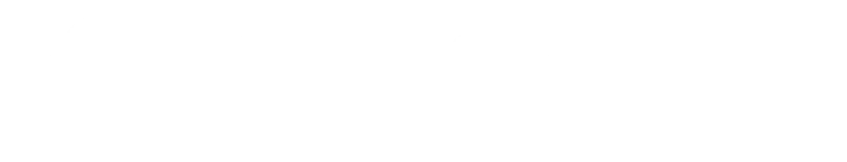 PetSnowy logo