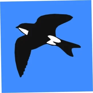 Martinic logo