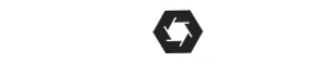 Ryder Toys logo